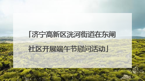 济宁高新区洸河街道在东闸社区开展端午节慰问活动